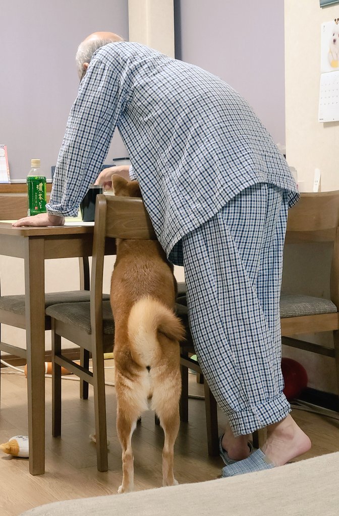 つまみ食いをするお父さんと麦くん（提供：犬さん）