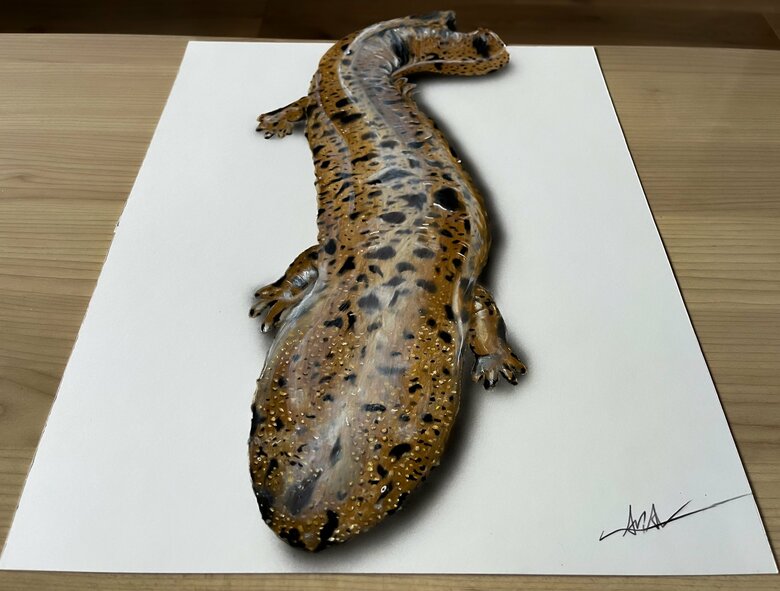 オオサンショウウオ（提供：ARIAさん）