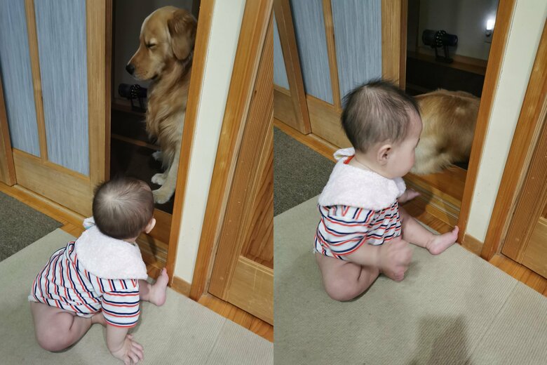 ベビさんの近くにいてくれるというふぉるてくん（提供：ふぉるてさん）