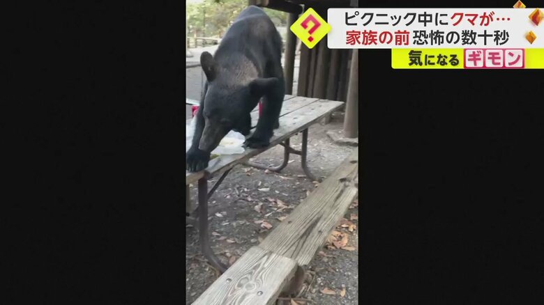 家族で食事中のテーブルの上に現れたクマ