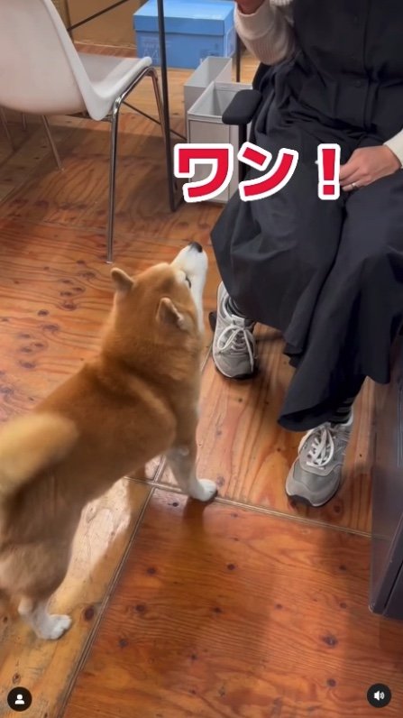 提供：エイトデザイン