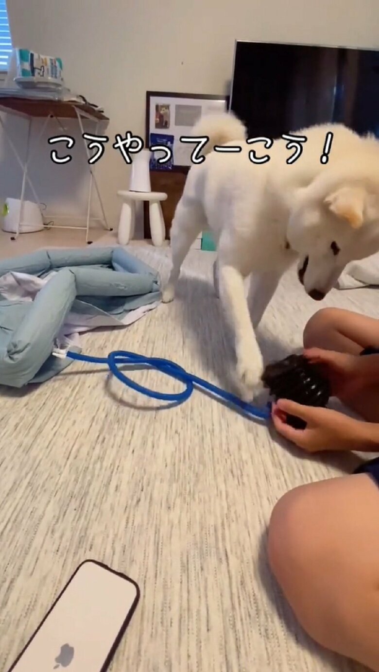 うまく押せない