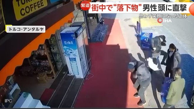 男性の頭にネコが落ちてきた瞬間