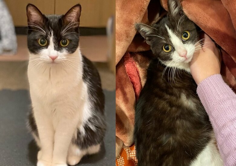 左：静ちゃん　右：空くん