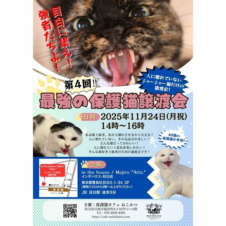 オレガノの写真が使われた「最強の保護猫譲渡会」のポスター