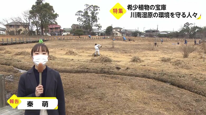 テレビ宮崎・秦萌アナウンサー