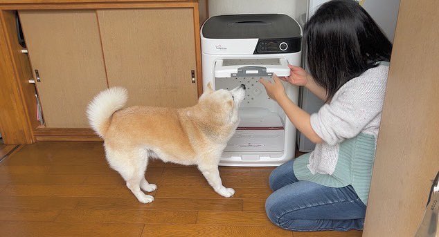 提供：しばわんこ生活さん