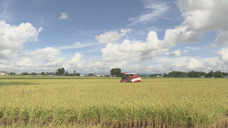 コメの収穫が始まった岩手県内
