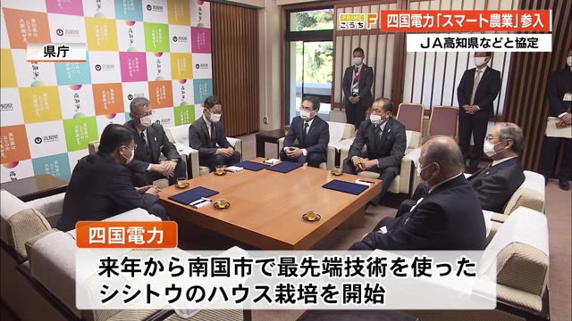 最先端技術でシシトウ栽培 四電がスマート農業事業スタート【高知】