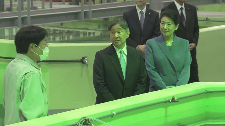 県の種苗生産施設(国東市）