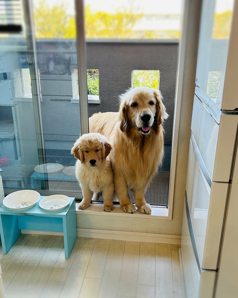 提供：efrinmanさん