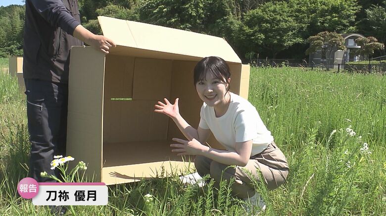 TOS刀祢優月アナウンサー