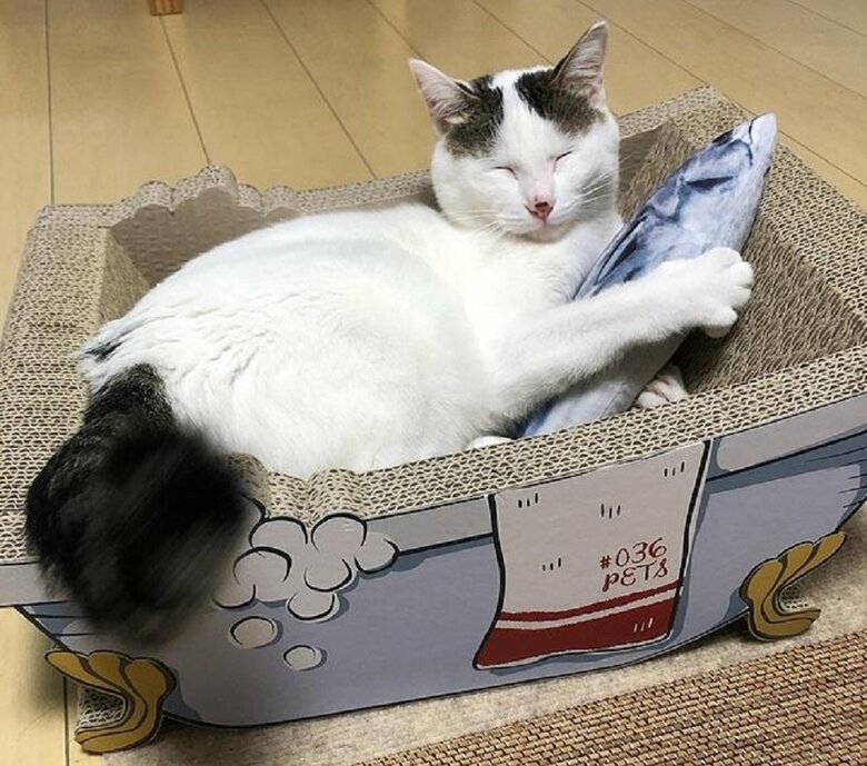 魚を抱いてぐっすり