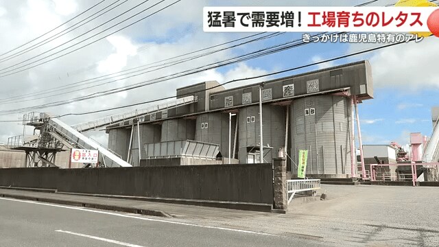 レタス工場の道路向かいには、生コンクリートの製造工場。どちらも旭信興産の工場だ