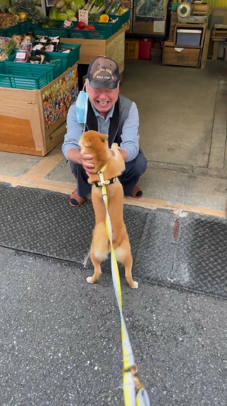 なでなで