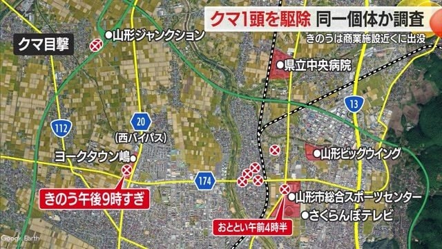 23日午前4時半から25日まで、山形市北部でクマの目撃が相次いだ
