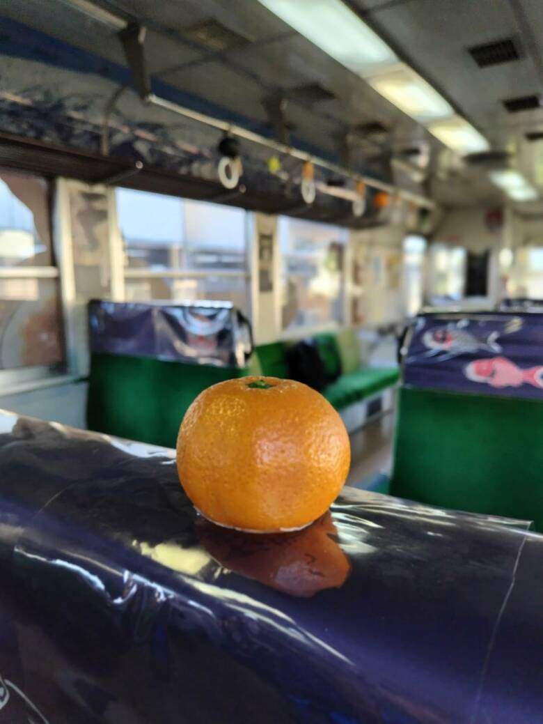 席からみかんがにょっきり（画像：サンプルビレッジいわさき）