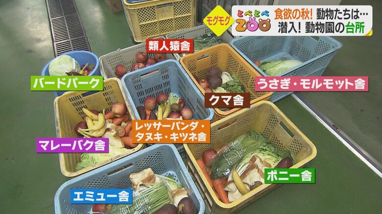 獣舎ごとにきっちりと分ける