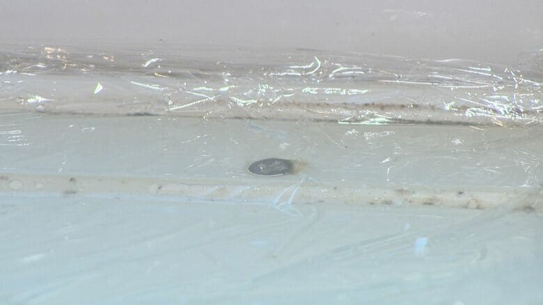 ラップで乾燥を防ぐ