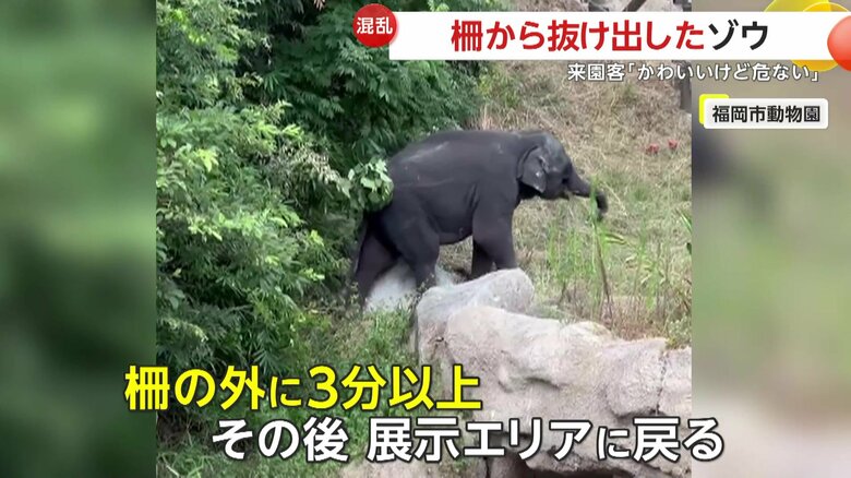 約3分間の脱出劇（視聴者撮影）