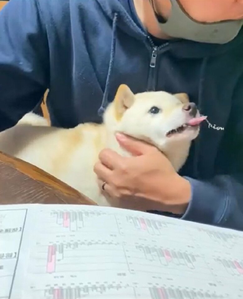 旦那さんが横を見て「そんな目でオレを見ないでくれ」と言い出す