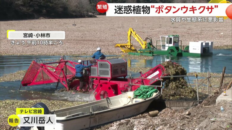 専用の回収船による除去作業