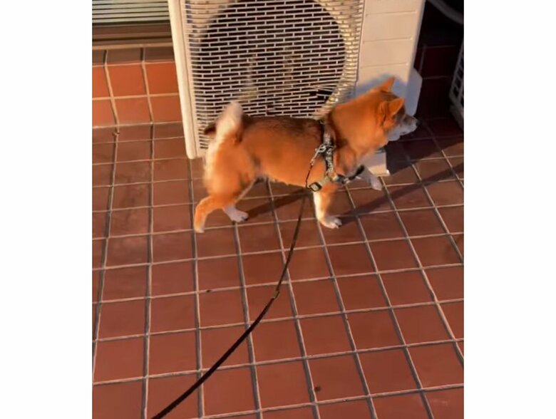 提供：kurararara4466さん