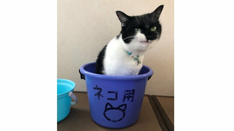 この表情を見る限り、お風呂は余裕そう？
