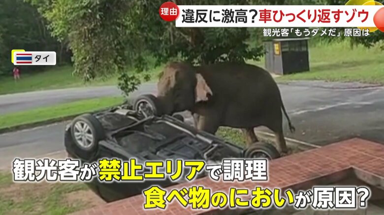 現地メディアは食べ物のにおいが原因と推測（SNS）