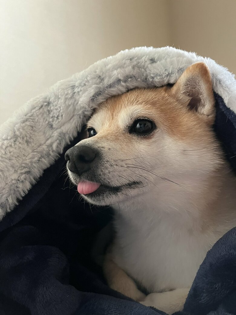 ぬくぬく