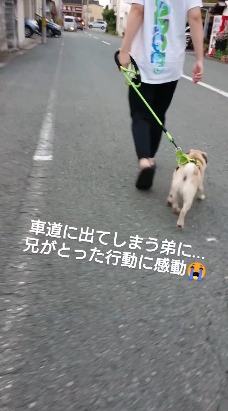 提供：たまごandおもちさん