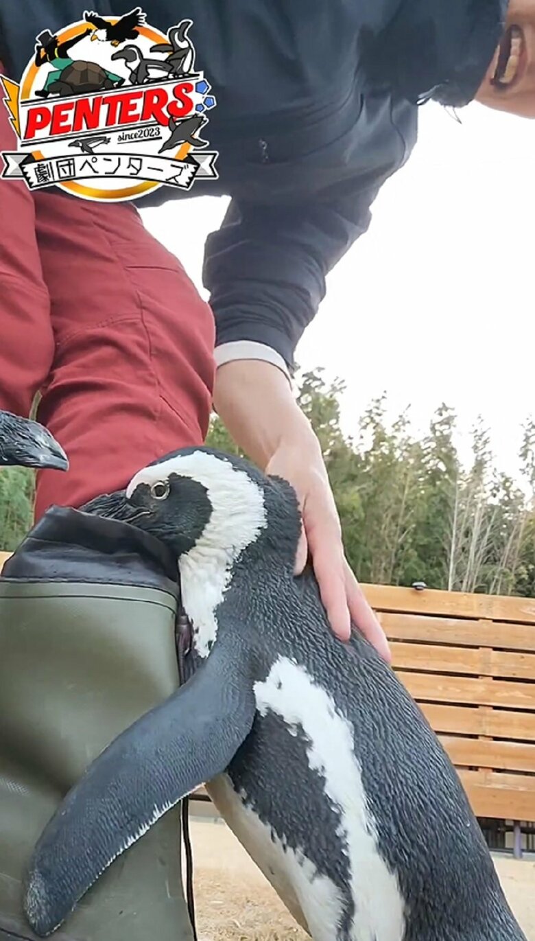 なでなですると落ち着く