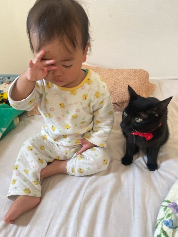 提供：ゴンゾウR4さん