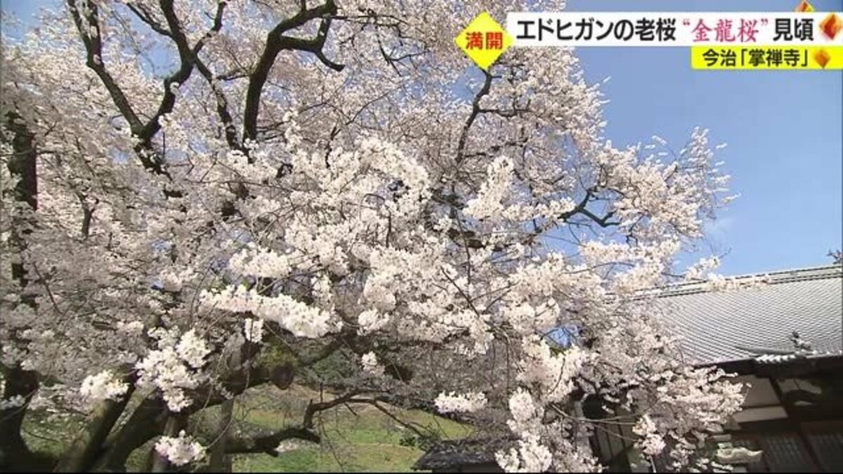 ☆オンラインストア正本☆ 龍の恵み研究所専用です feriasdellibro