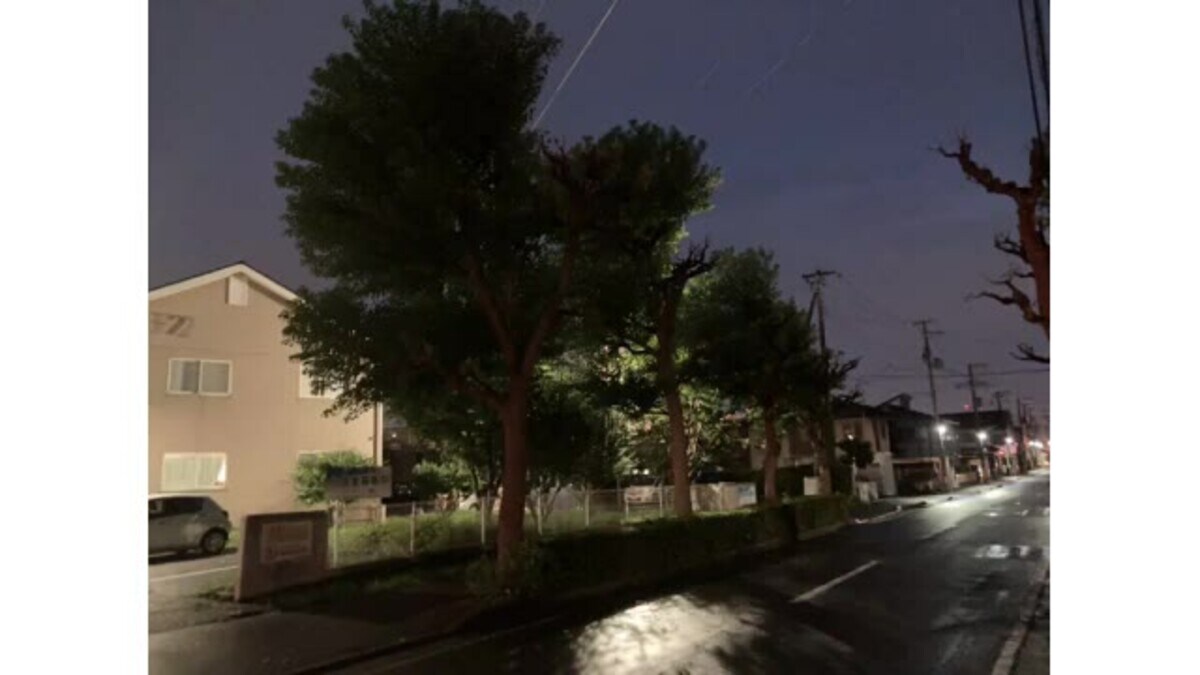 続報 街路樹でせん定作業中に感電 作業員の男性１人死亡 １人重体 新潟市中央区 Fnnプライムオンライン