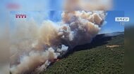 ヨーロッパ各地で大規模な山火事相次ぐ　住民らが必死の抵抗も“熱波”で土地が乾燥　スペインでは東京ドーム1100個分以上が焼失