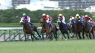 【上半期グランプリレース 宝塚記念・G1】超豪華決戦　史上初の春古馬3冠かかるクロワデュノールか、武豊GⅠ連勝でメイショウタバル連覇か　データから導き出された穴馬は