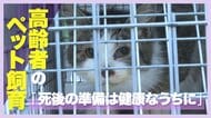 高齢者のペット飼育に潜むリスク…死後の備えなき多頭飼育崩壊も「死後の準備は健康なうちに」
