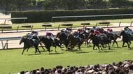 【夏の小倉スプリント重賞 北九州記念・G3】史上初の連覇へ…2度勝利を経験した前年覇者が難解レースに挑む！