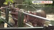 涼をとる動物たちの姿を見て暑さしのぎ　沖縄子どもの国で「アイス祭り」