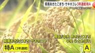 秋田の「サキホコレ」と「県南あきたこまち」、3年連続で「特A」評価　2025年産米食味ランキング