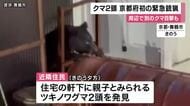 ツキノワグマ2頭「緊急銃猟」によって駆除　別のクマの目撃も相次ぎ市が注意呼びかけ　京都府内での緊急銃猟は初めて　京都・舞鶴市