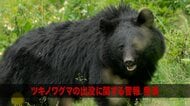 ツキノワグマの出没に関する警報発表　人身被害など受け　岩手県