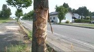 軽トラ運転男性が死亡 大型トラックと衝突事故【岩手・奥州市】