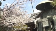 春遍路のシーズン到来 「逆打ち」2020年は“ご利益3倍”も…ツアー客減少に懸念の声