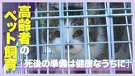 高齢者のペット飼育に潜むリスク…死後の備えなき多頭飼育崩壊も「死後の準備は健康なうちに」