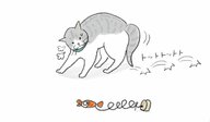 【猫あるある漫画】なんでそんなに猫しぐさ　第6回「縦横にスライド　やんのかステップ」