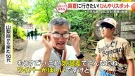 この夏行きたい！ひんやりスポット【しらべてみたら】