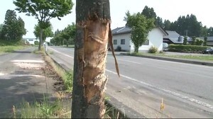 軽トラ運転男性が死亡 大型トラックと衝突事故【岩手・奥州市】