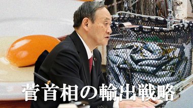 卵もブリも焼き芋も!日本の農産品もっと海外へ…菅首相こだわりの輸出戦略を決定